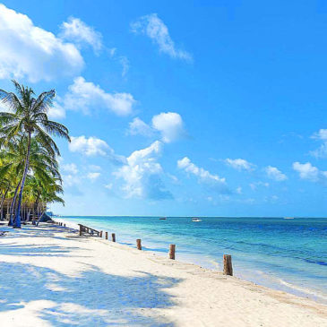 Malindi